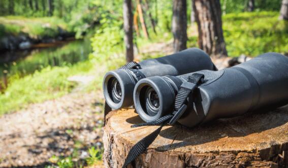 hunting binoculars with range finder